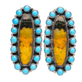 Sleeping Beauty Turquoise Earrings with Bumblebee Jasper | Geraldine James