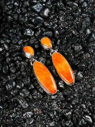 Spiny Oyster Shell Earrings | LJ