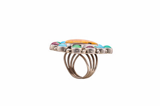 Multi-Stone Cluster Ring | Ray Silver